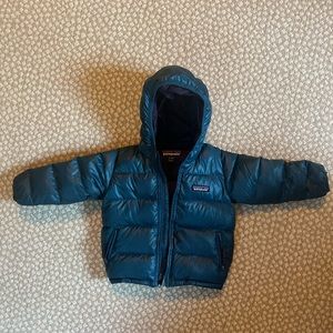Patagonia hi-loft down sweater kids infant teal 12-18 months
